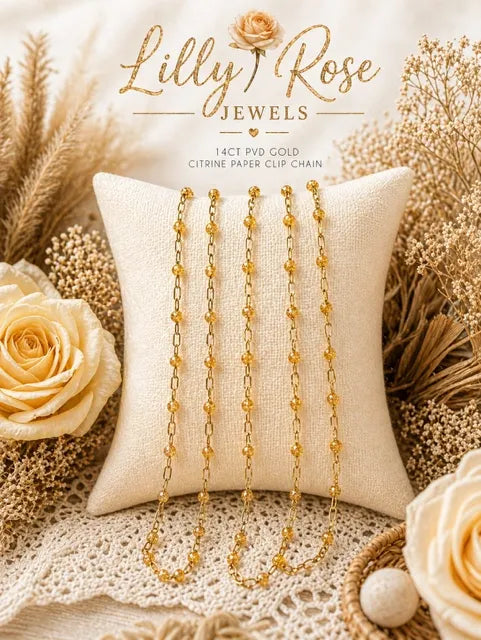 Citrine Enamel | 14k Gold PVD Paper Clip Chain